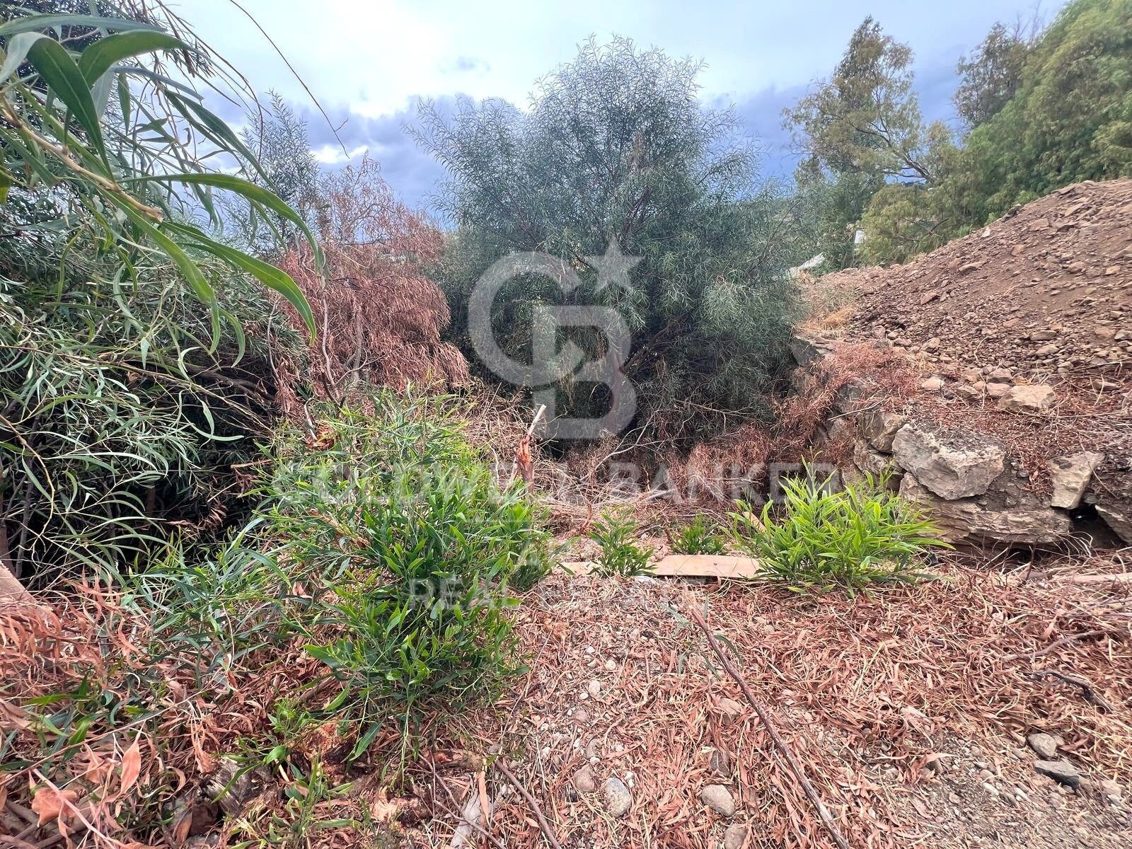 Land plot in Benahavis, Malaga, Spain 504 sq.m. No. 157436