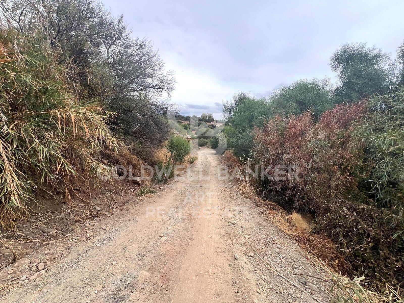 Land plot in Benahavis, Malaga, Spain 504 sq.m. No. 157436