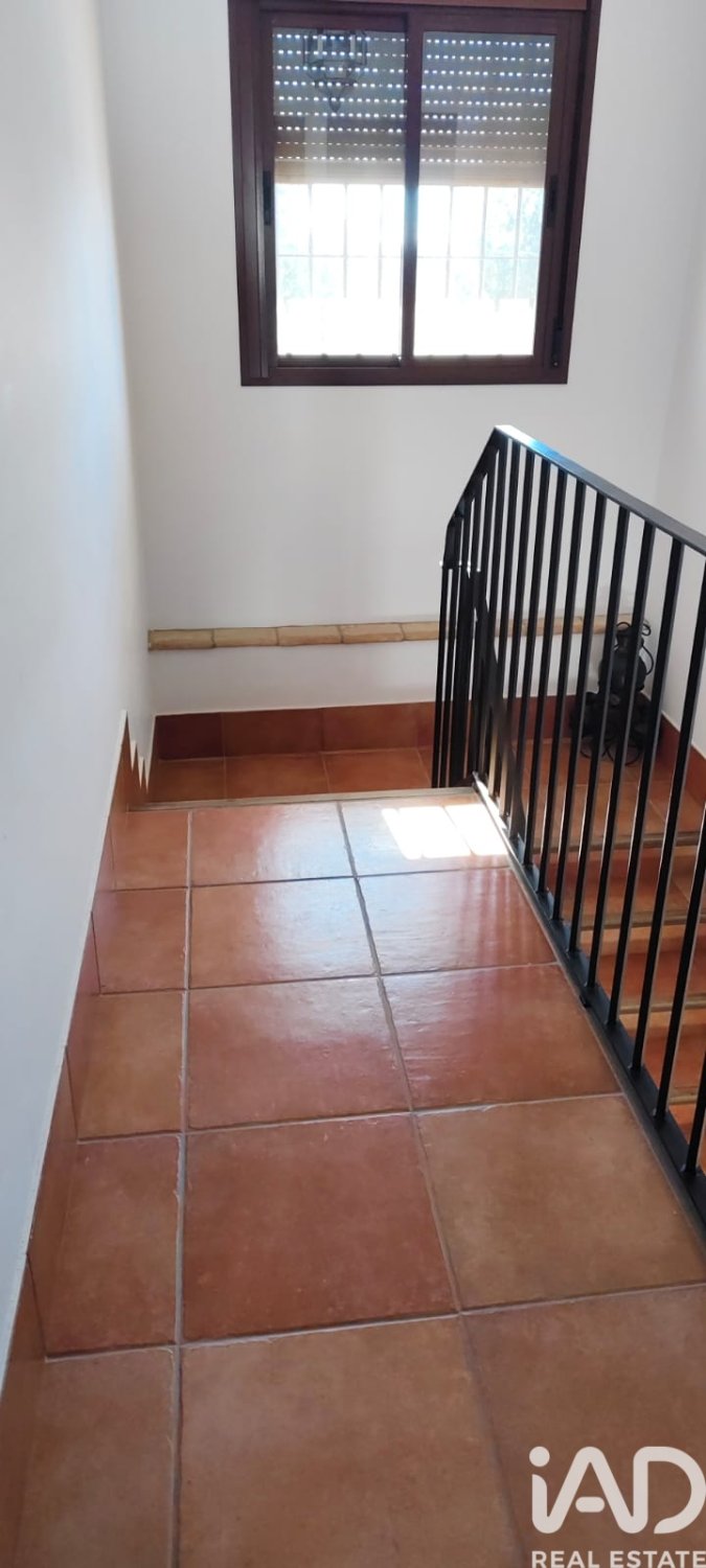 House à Ecija, Seville, Espagne 4 chambres, 432 m2 No. 152679