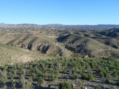 Zemes gabals Albox, Almeria, Spānijā Nr. 184161