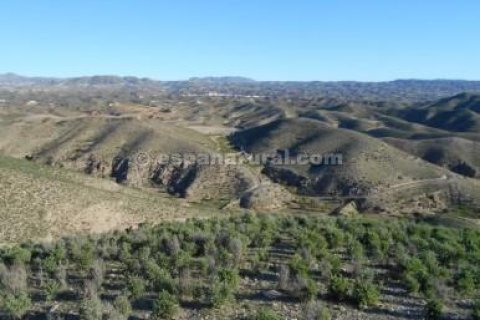 Zemes gabals Albox, Almeria, Spānijā Nr. 184161