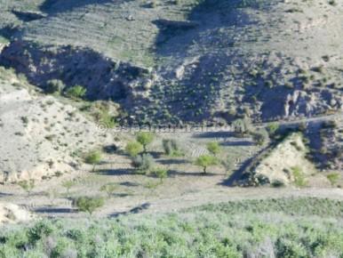 Zemes gabals Albox, Almeria, Spānijā Nr. 184161