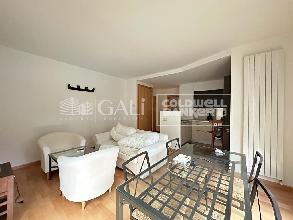 Apartment à Principado De Andorra (Ninguna Poblacion Tiene C.P.), Lleida, Espagne 1 chambre, 56 m2 No. 178427