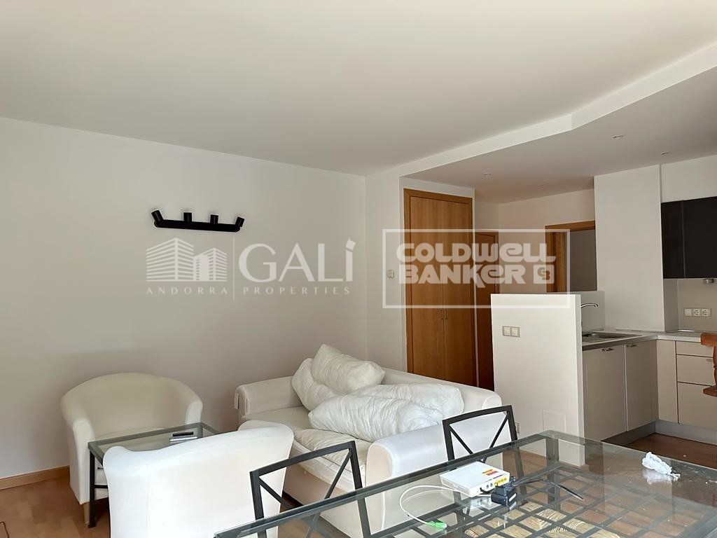 Apartment à Principado De Andorra (Ninguna Poblacion Tiene C.P.), Lleida, Espagne 1 chambre, 56 m2 No. 178427