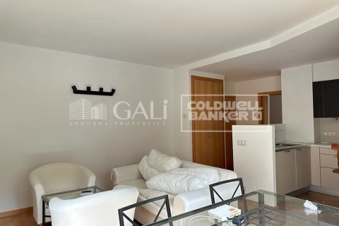 Apartment à Principado De Andorra (Ninguna Poblacion Tiene C.P.), Lleida, Espagne 1 chambre, 56 m2 No. 178427