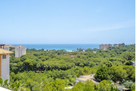 Apartament w Dehesa De Campoamor, Alicante, Hiszpania 2 sypialnie, 77 mkw. nr 144831