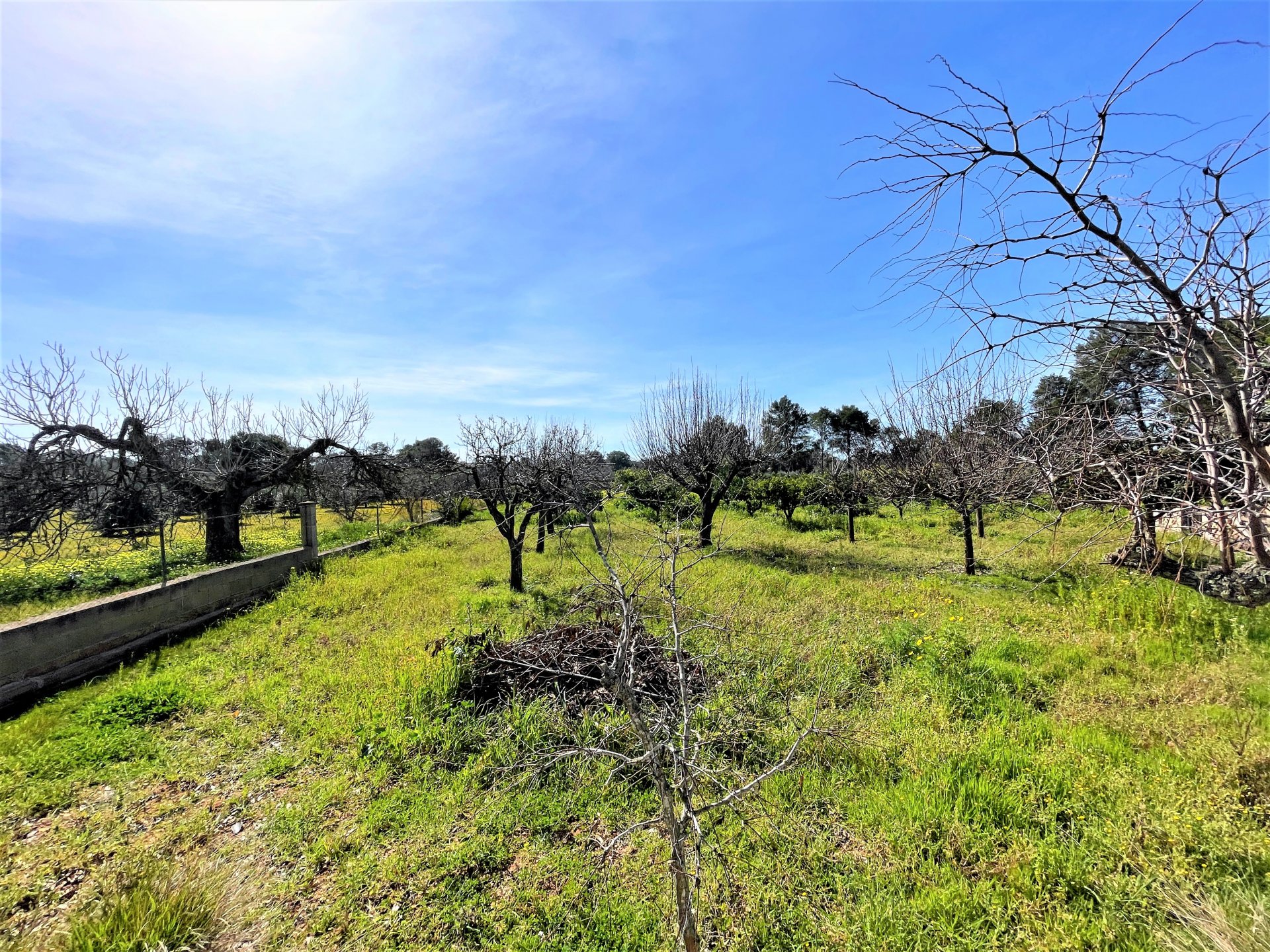 Finka w Palma de Majorca, Mallorca, Hiszpania 4 sypialnie, 335 mkw. nr 64633