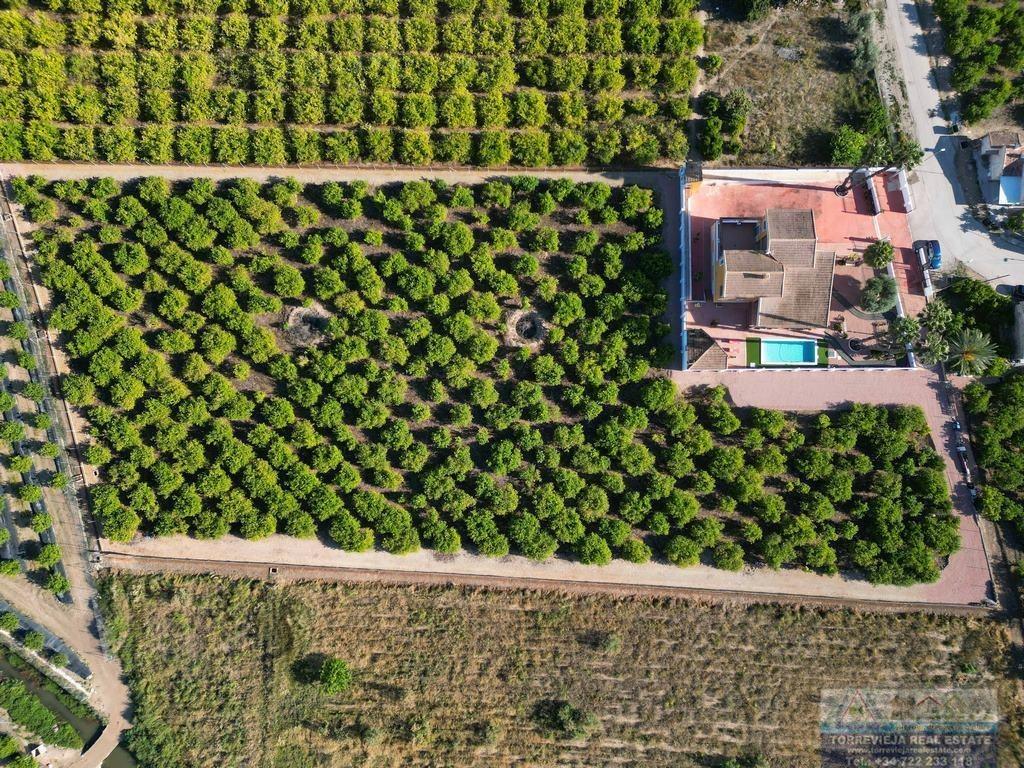 Huvila Orihuela, Alicante, Espanja 5 makuuhuonetta, 500 m2 No. 195675