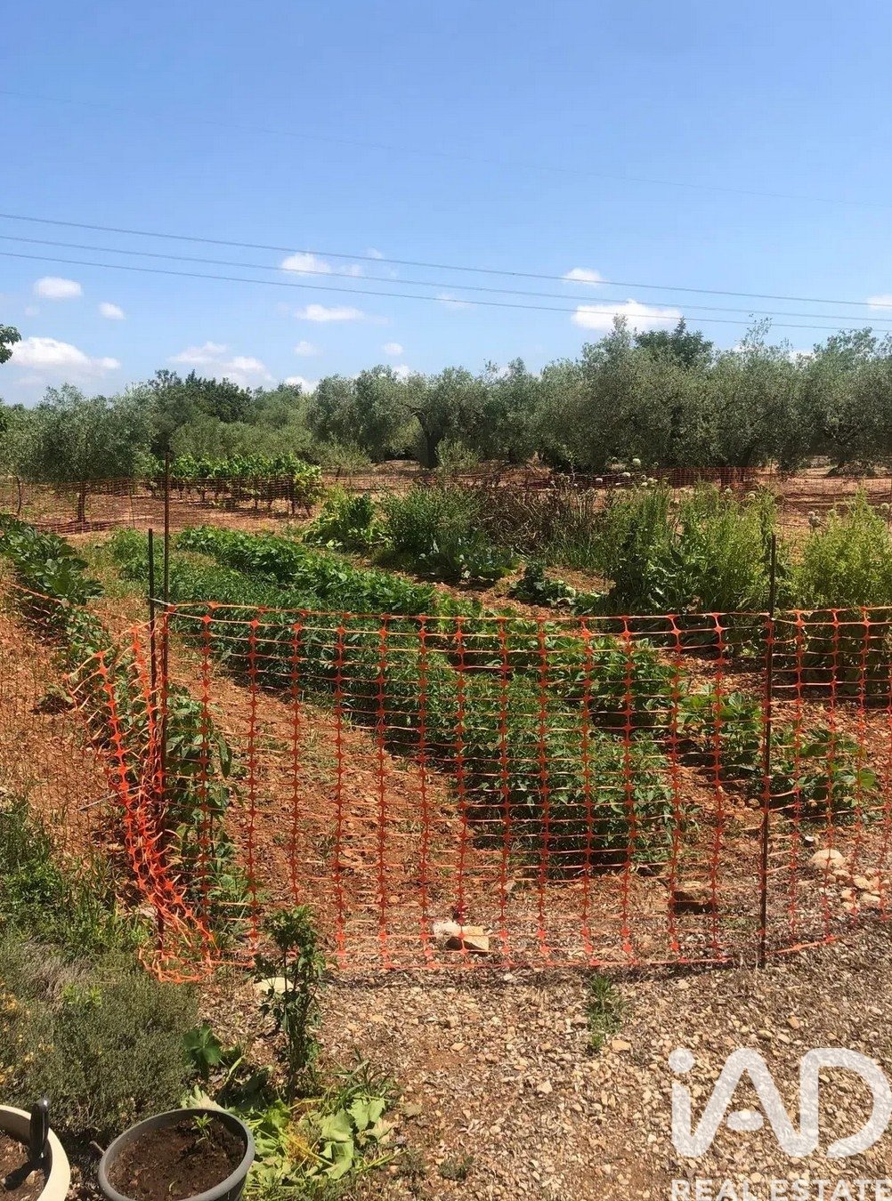 Commercial property in San Rafael Del Rio, Castellon, Spain No. 173164