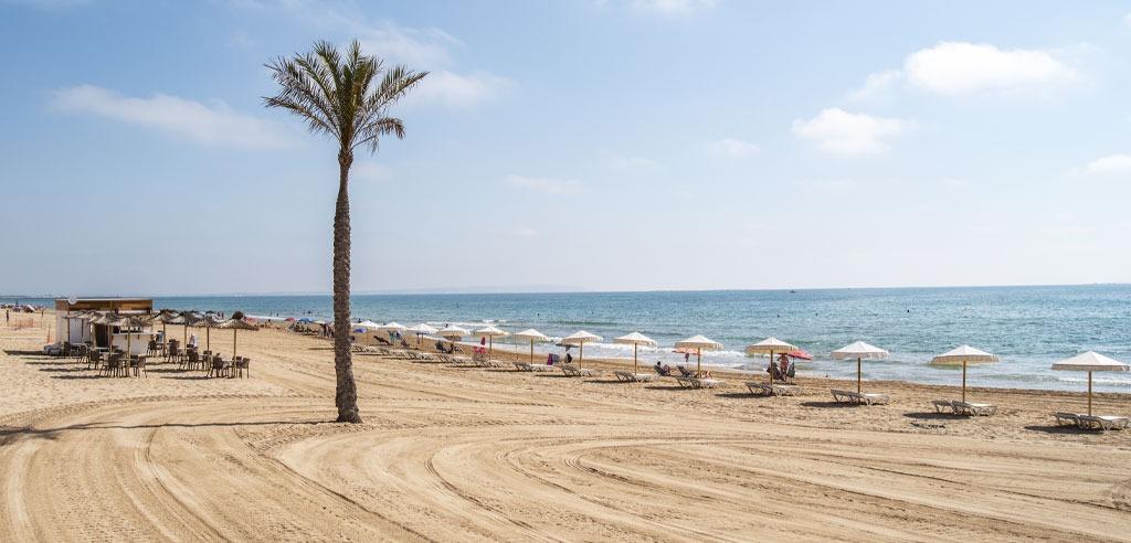 Apartment à Guardamar del Segura, Alicante, Espagne 3 chambres, 86 m2 No. 187104