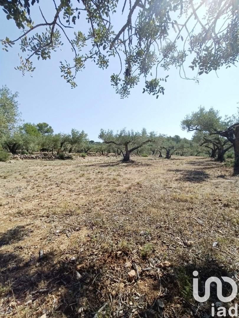 House in L'Ametlla de Mar, Tarragona, Spanien 4 Schlafzimmer, 255 m2 Nr. 153231