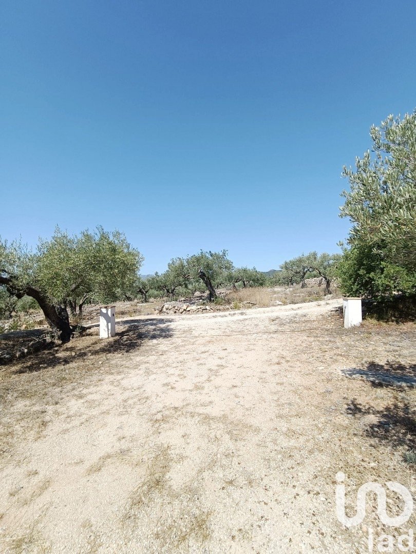 House in L'Ametlla de Mar, Tarragona, Spanien 4 Schlafzimmer, 255 m2 Nr. 153231