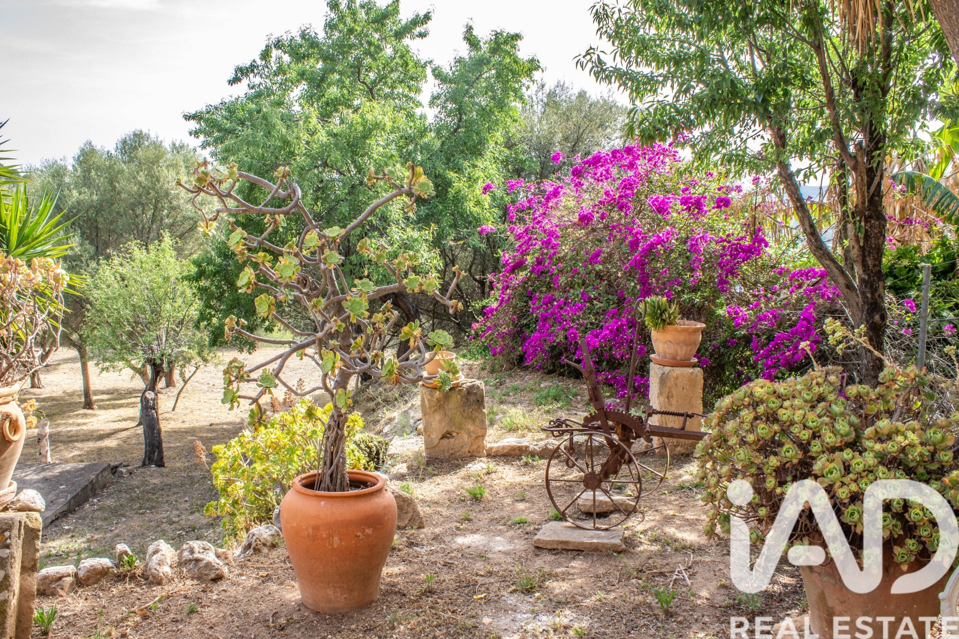 House in Andratx, Mallorca, Spain 2 bedrooms, 265 sq.m. No. 172436