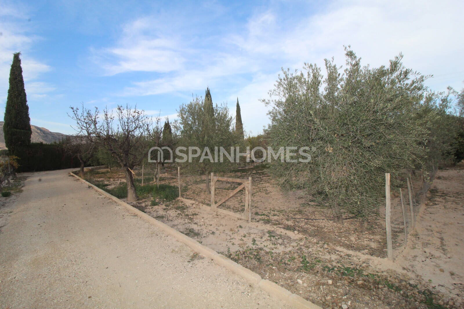 Huvila Elda, Alicante, Espanja 13 makuuhuonetta, 1806 m2 No. 193713