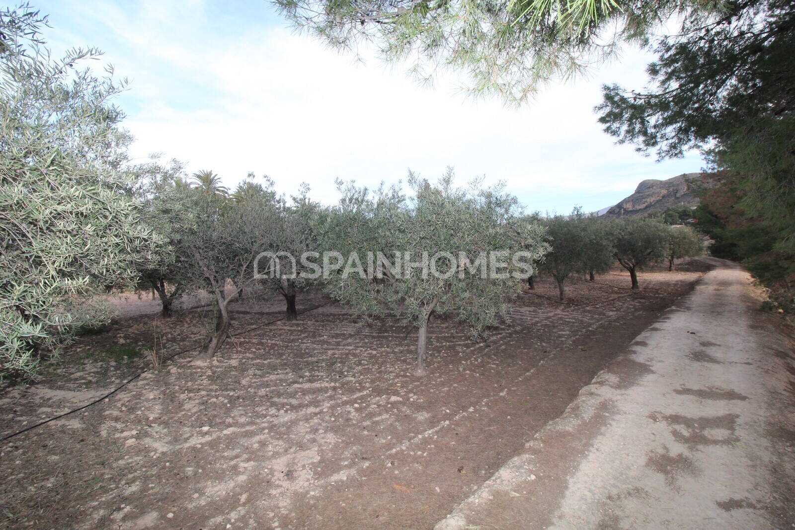 Huvila Elda, Alicante, Espanja 13 makuuhuonetta, 1806 m2 No. 193713
