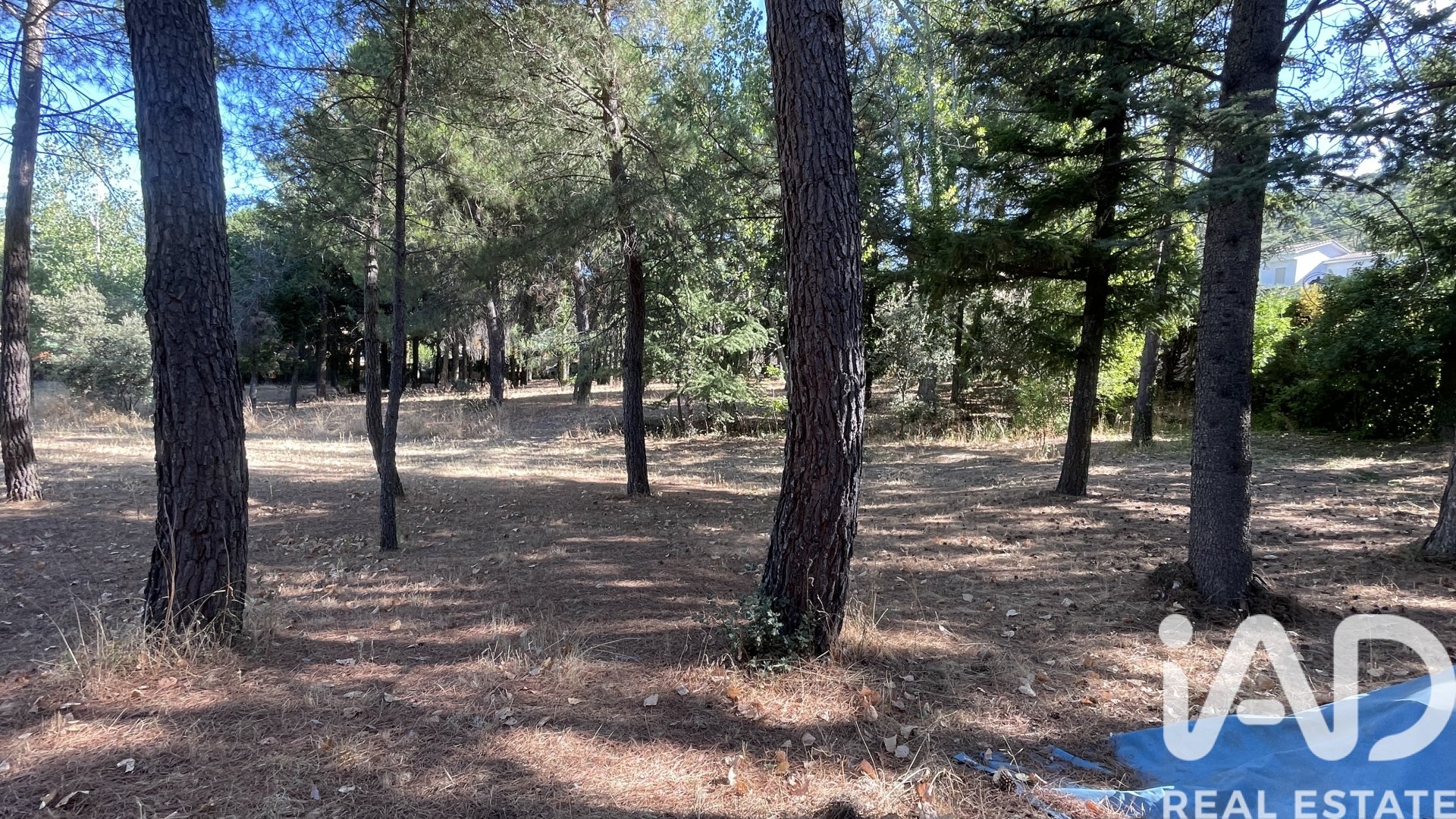 Parcela en Robledo de Chavela, Madrid, España 3000 m2 No. 172524