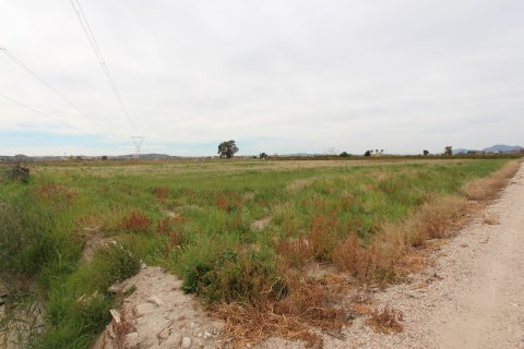 Działka w San Fulgencio, Alicante, Hiszpania nr 183925