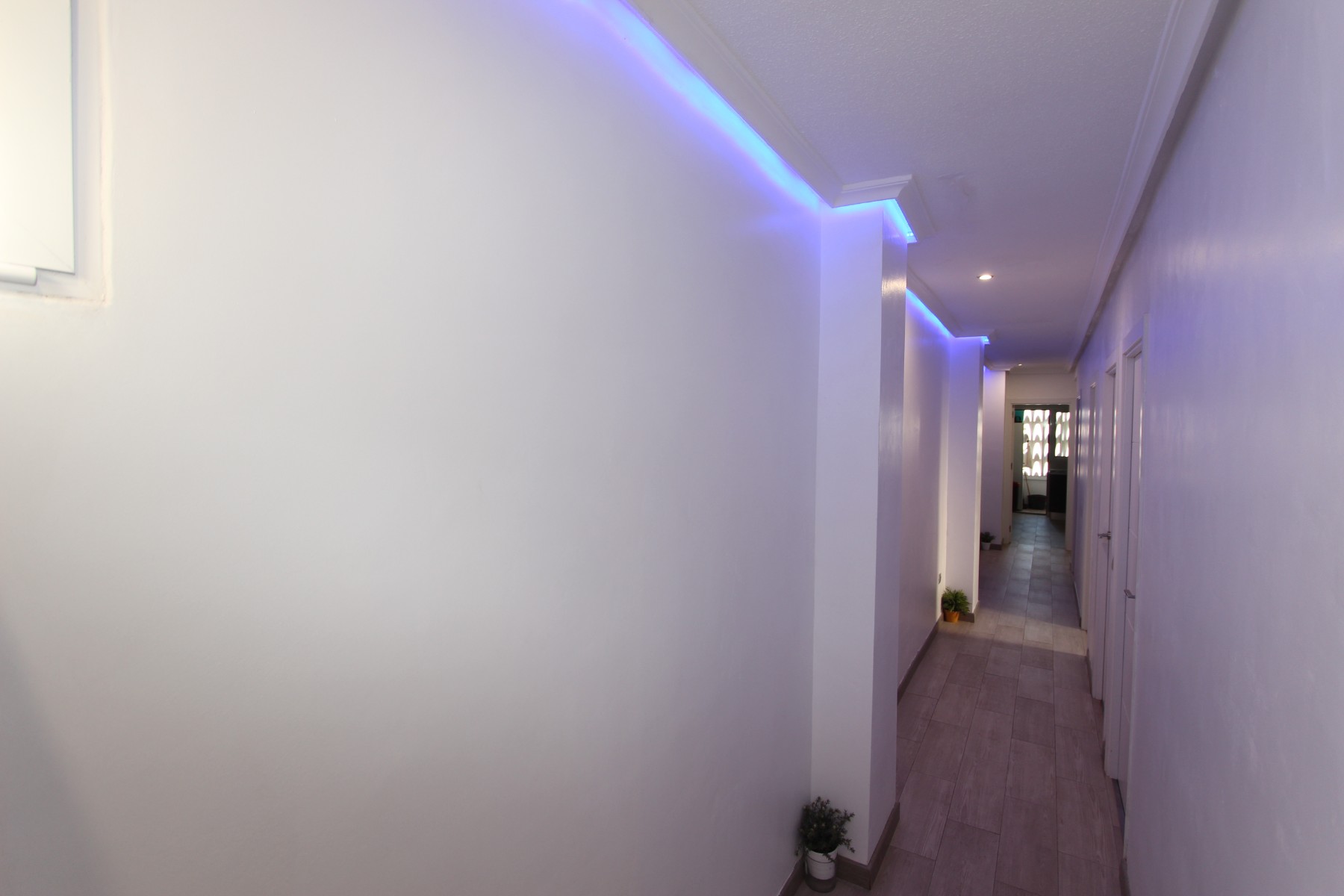 Apartment in Guardamar del Segura, Alicante, Spain 4 bedrooms, 139 sq.m. No. 183923