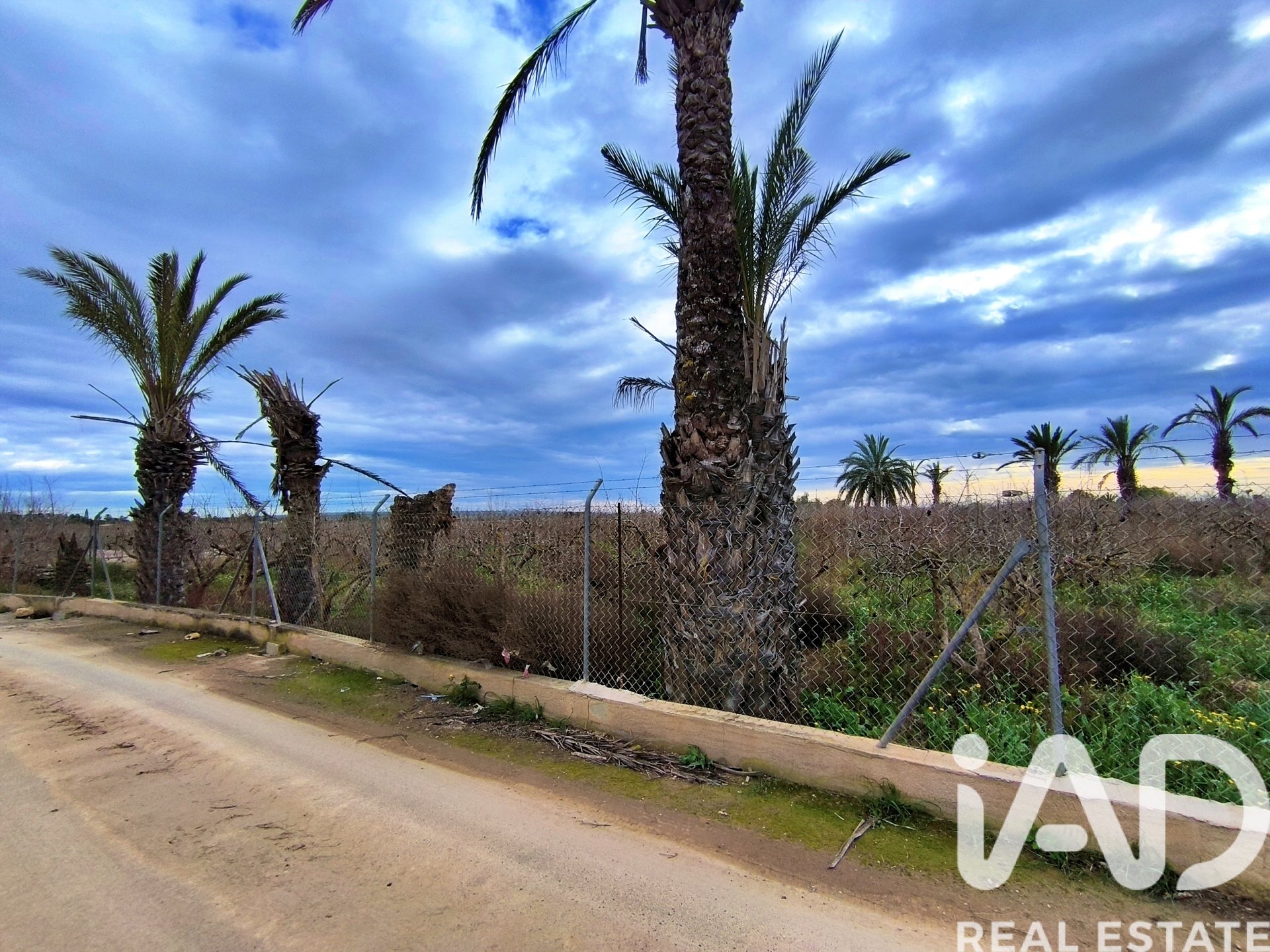 Casa a Elche, Alicante, Spagna 4 camere da letto, 237 mq. N° 152361