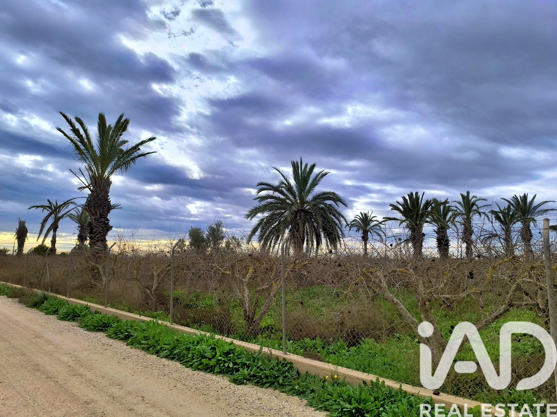 Casa a Elche, Alicante, Spagna 4 camere da letto, 237 mq. N° 152361