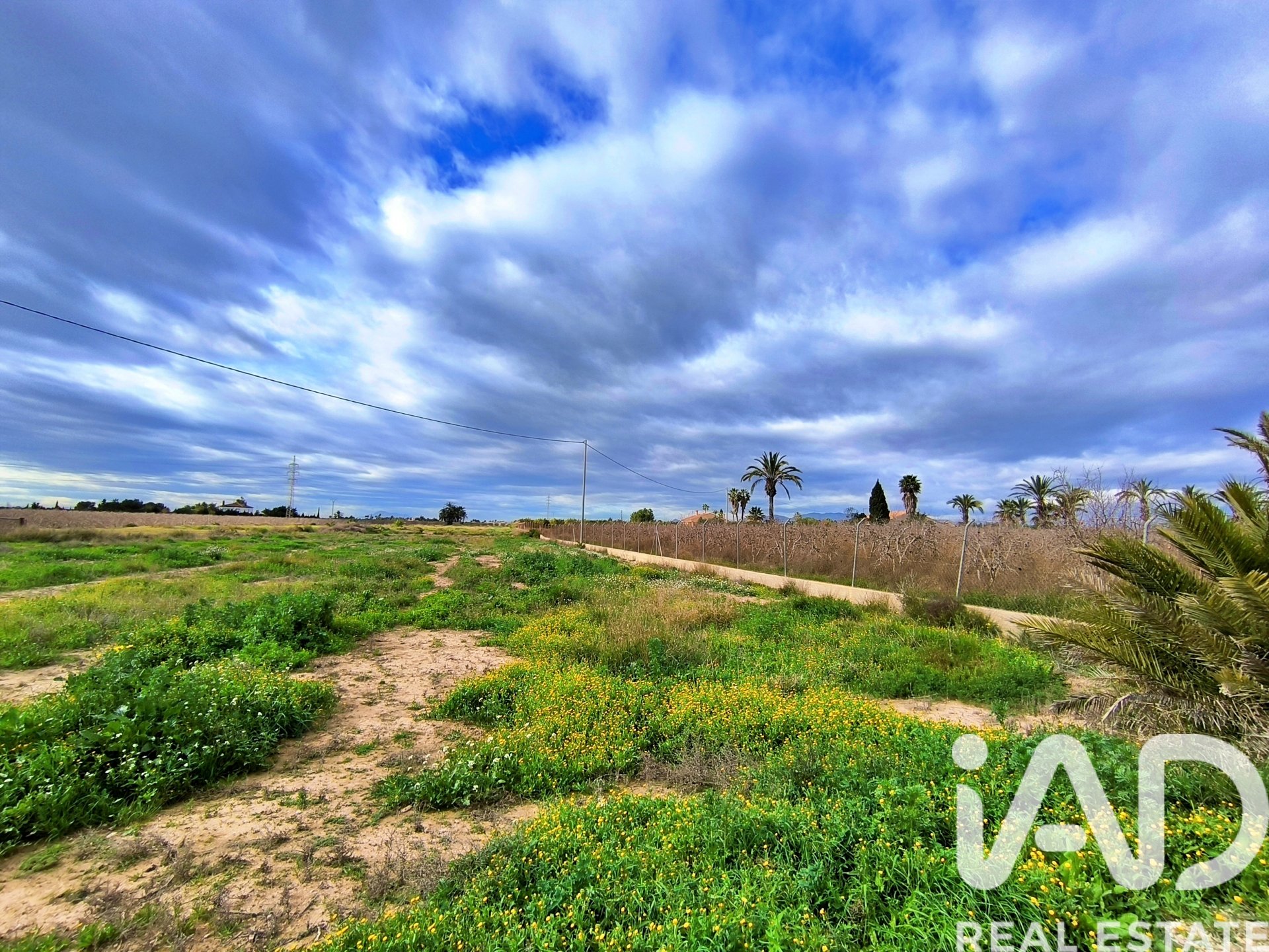 Casa a Elche, Alicante, Spagna 4 camere da letto, 237 mq. N° 152361
