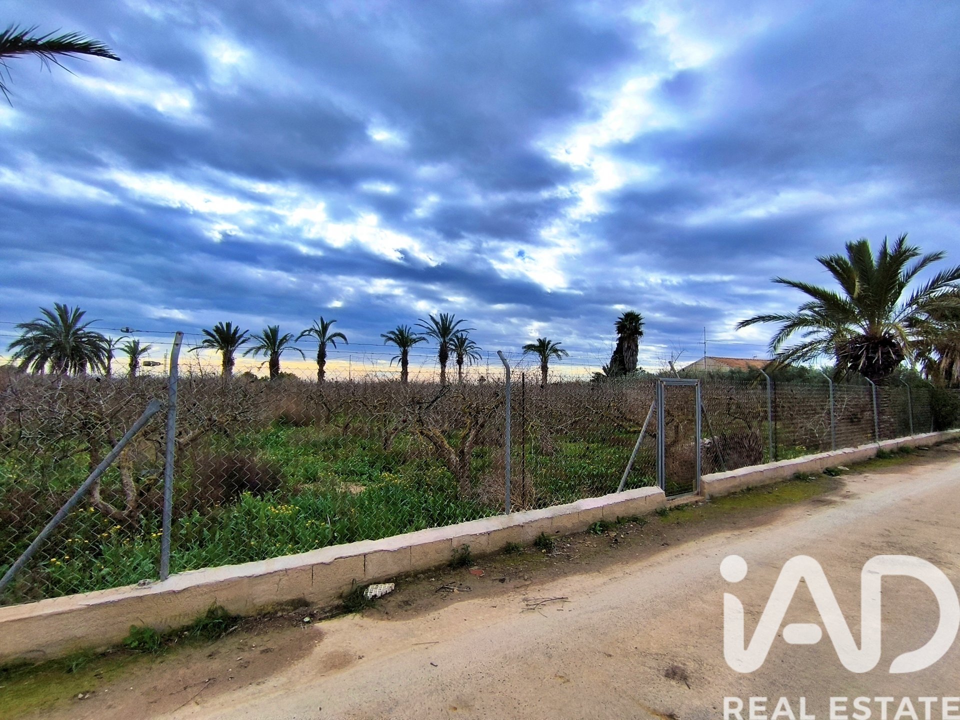 Casa a Elche, Alicante, Spagna 4 camere da letto, 237 mq. N° 152361