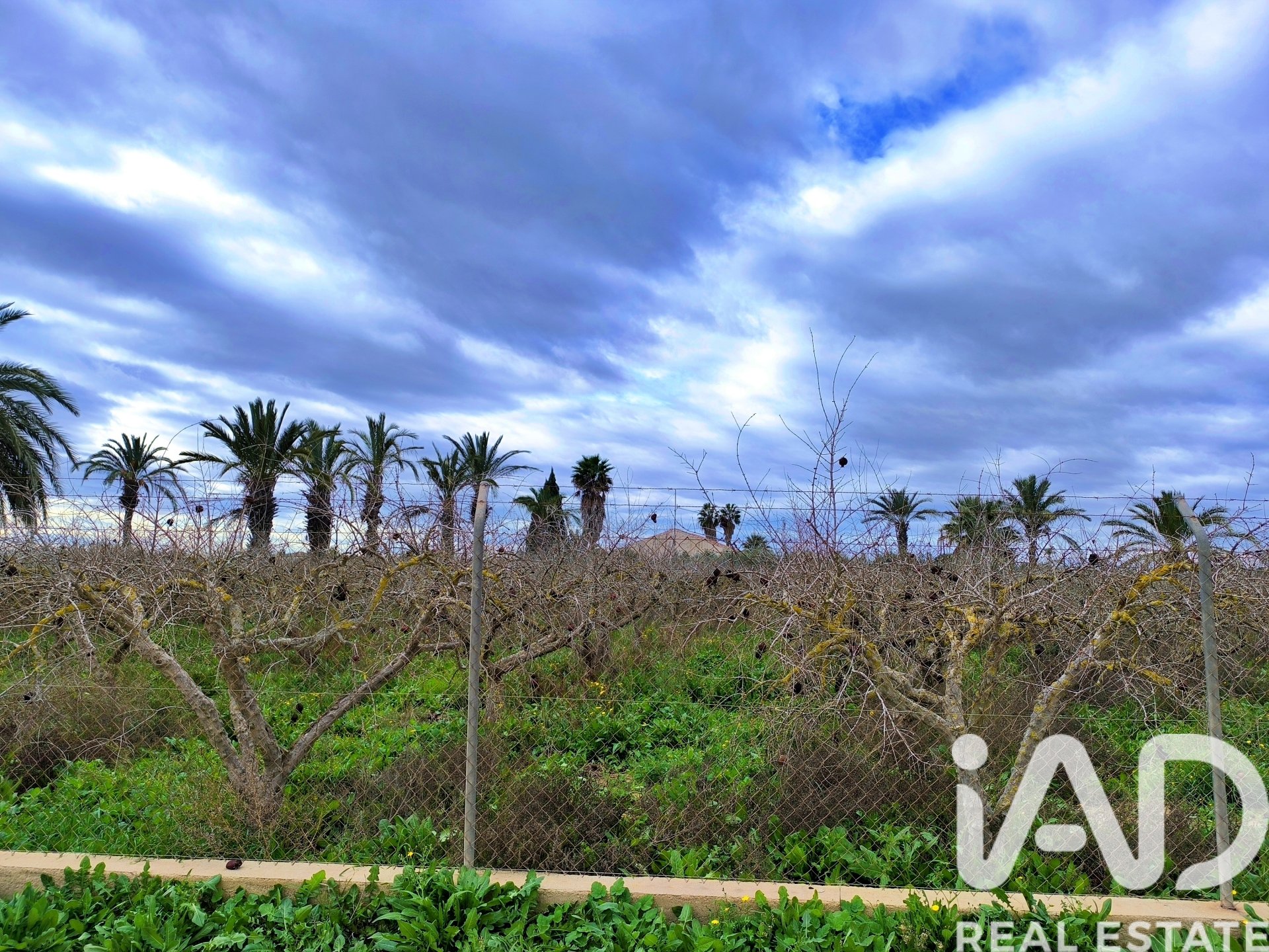 Casa a Elche, Alicante, Spagna 4 camere da letto, 237 mq. N° 152361