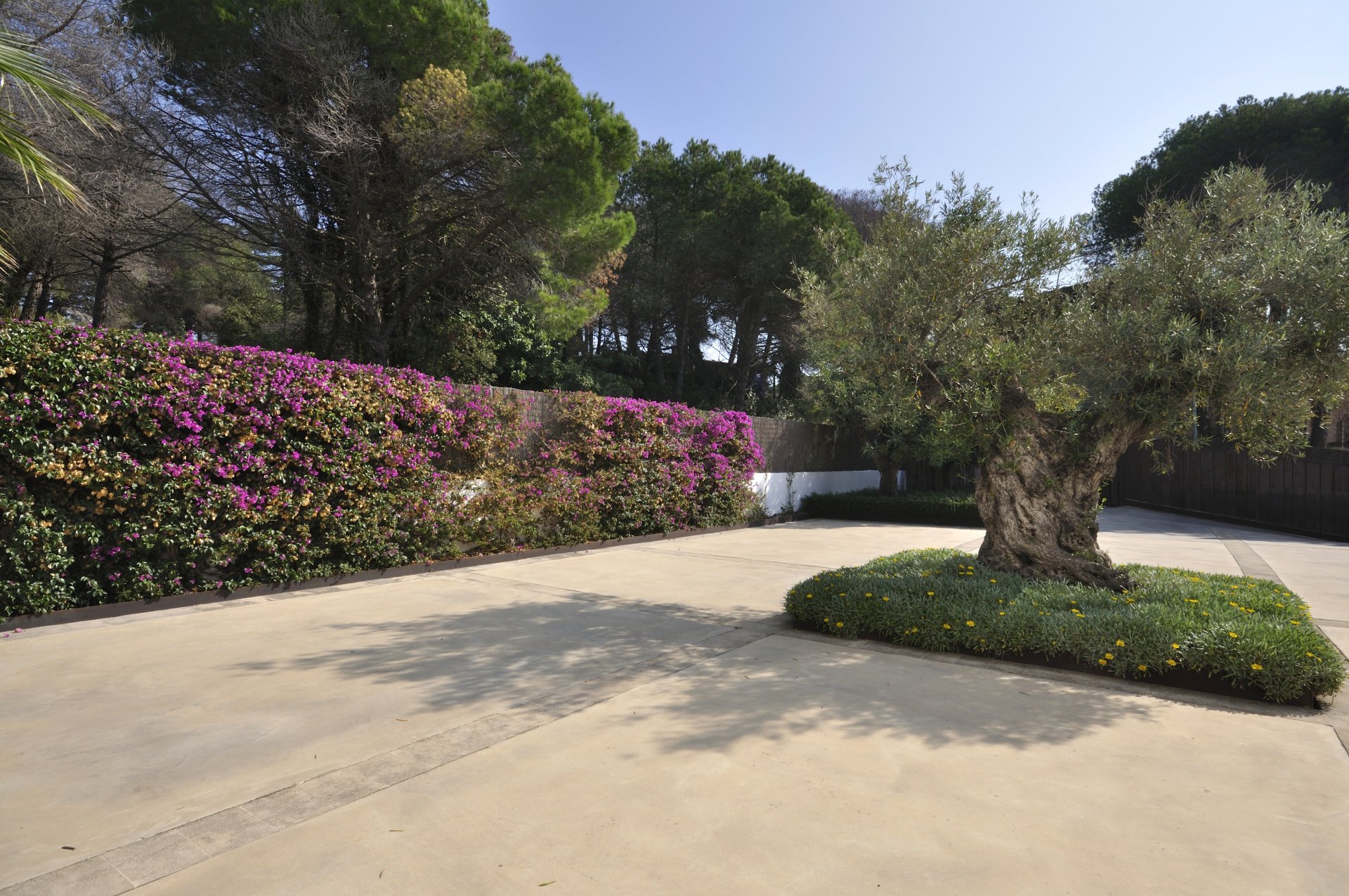House in Sant Andreu de Llavaneres, Barcelona, Spanien 7 Schlafzimmer,  Nr. 141306