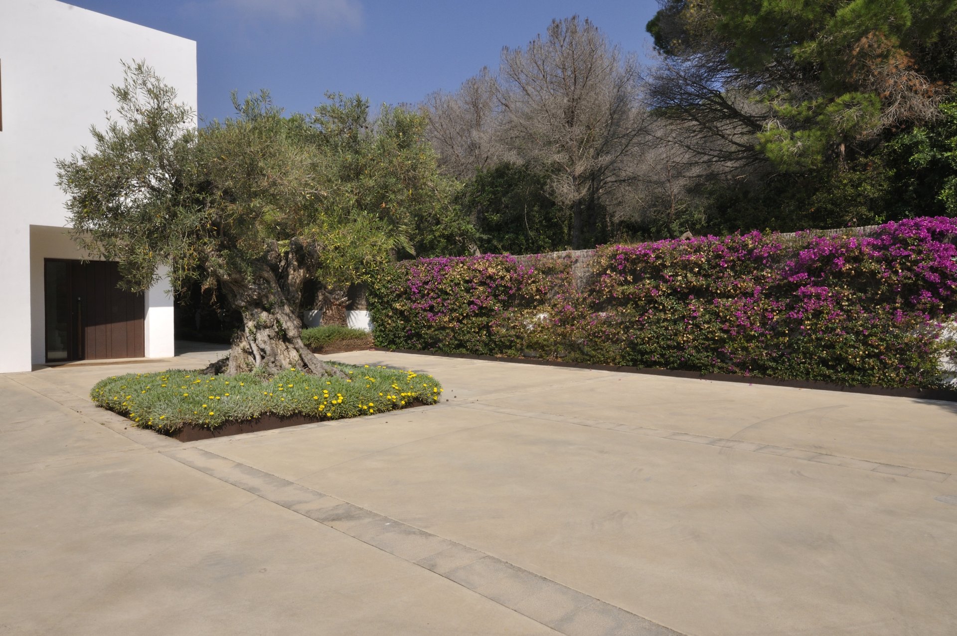 House in Sant Andreu de Llavaneres, Barcelona, Spanien 7 Schlafzimmer,  Nr. 141306