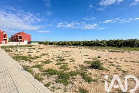 Terreno a Palmera, Valencia, Spagna 1112 mq. N° 172815