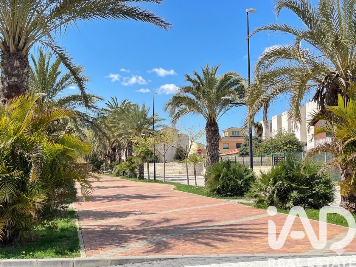 Terreno a Palmera, Valencia, Spagna 1112 mq. N° 172815