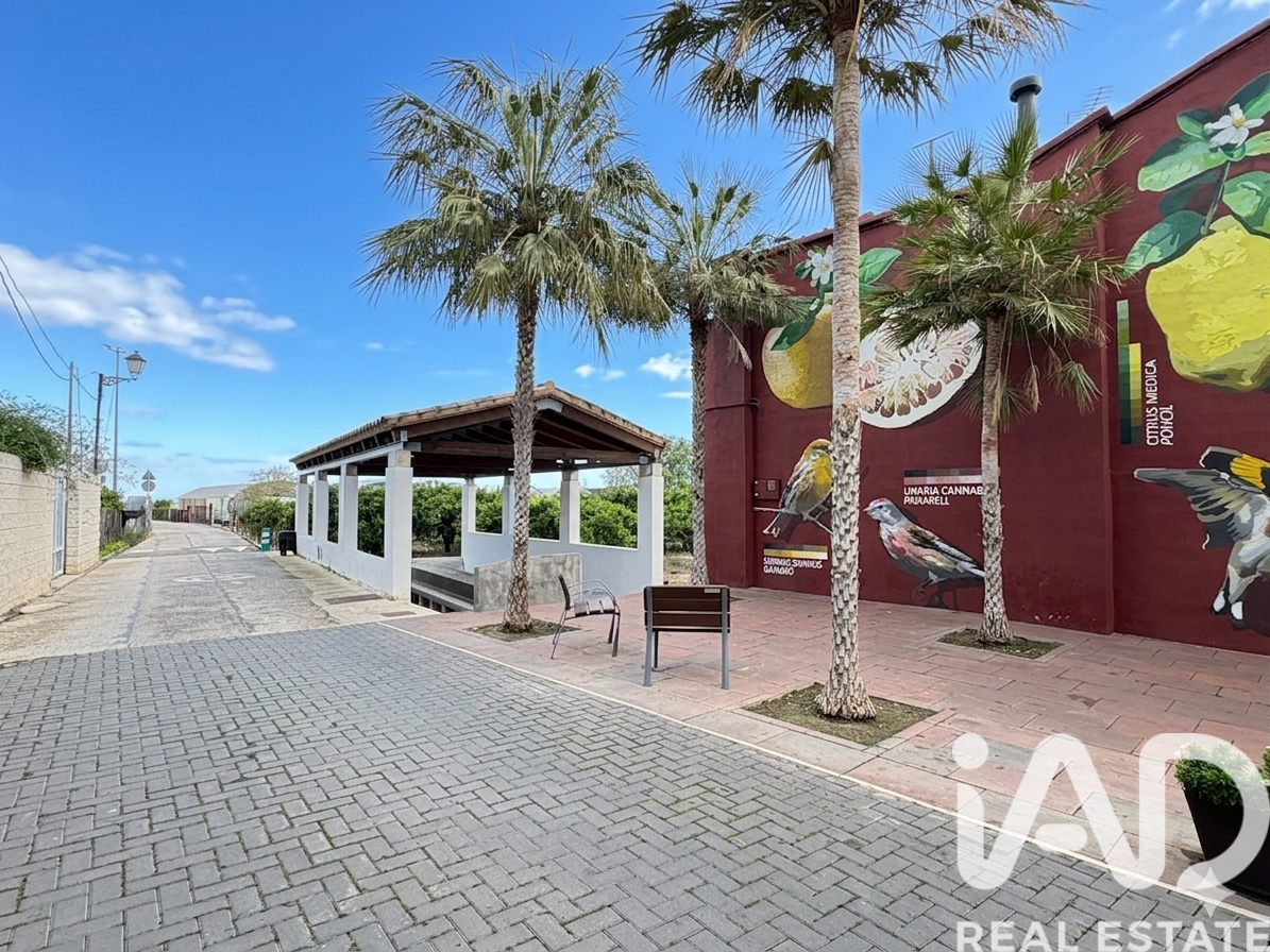 Terreno a Palmera, Valencia, Spagna 1112 mq. N° 172815