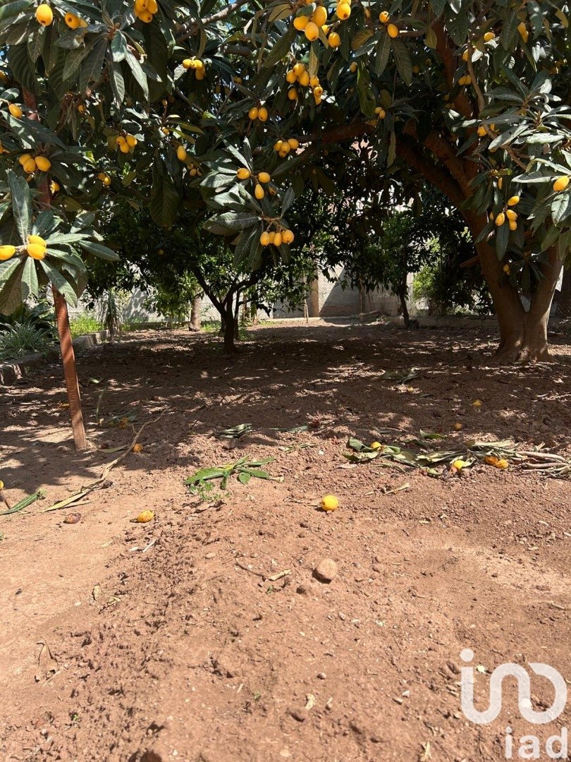 Zemes gabals Alquerias Del Nino Perdido, Castellon, Spānijā 262 m2 Nr. 185957