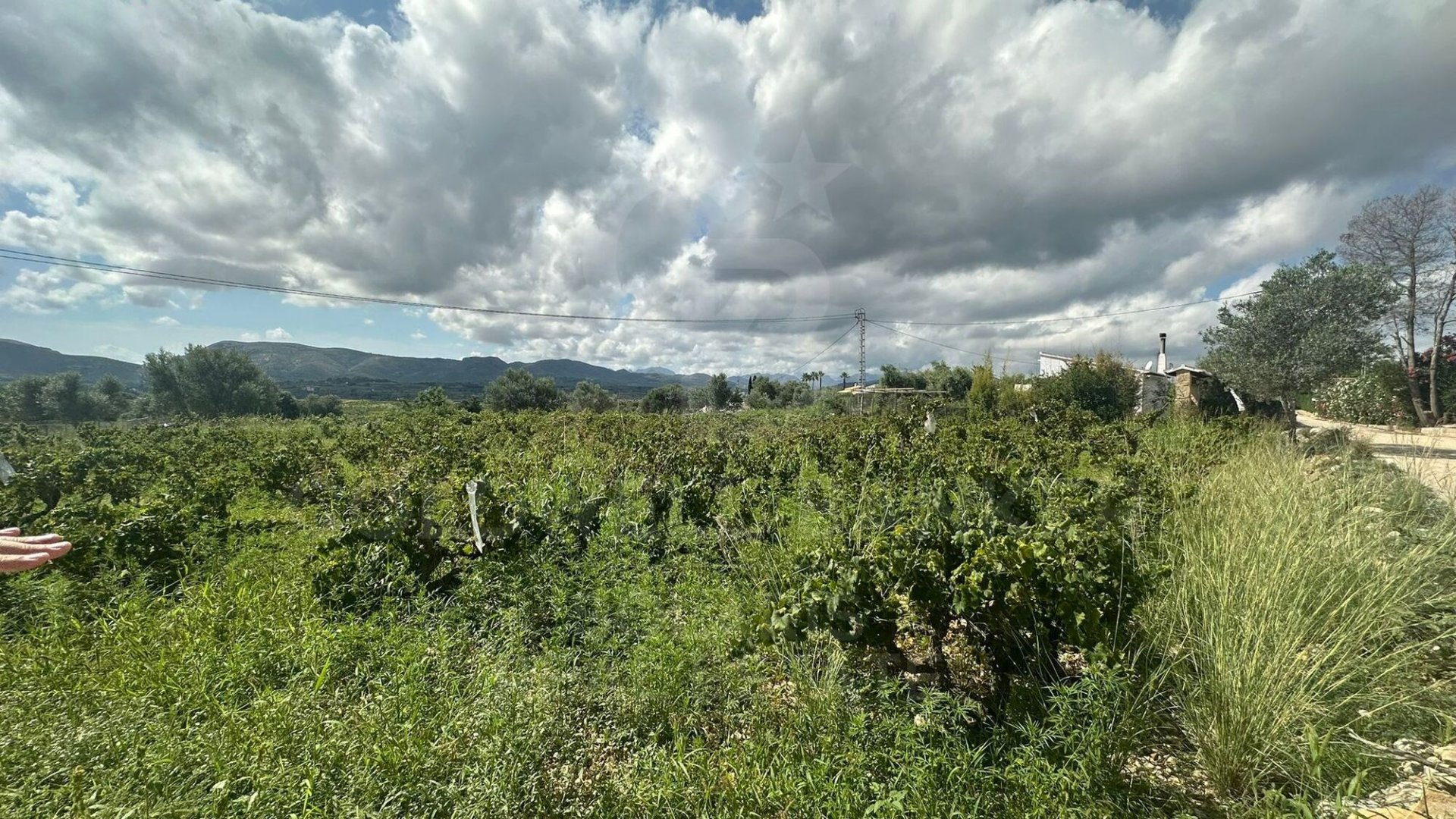 Działka w Javea, Alicante, Hiszpania 5400 mkw. nr 160208
