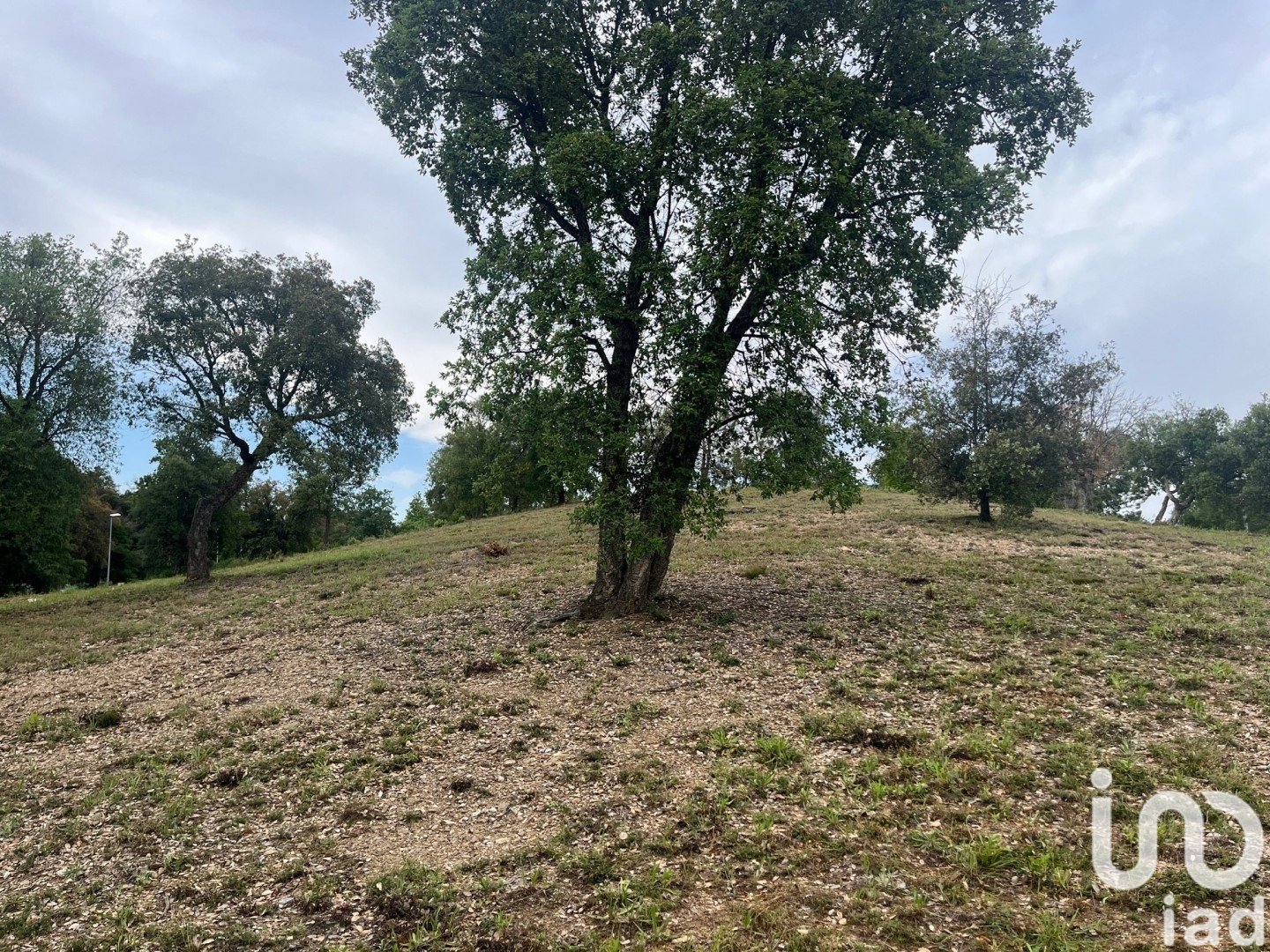 Land plot in Bescano, Girona, Spain 1646 sq.m. No. 186161