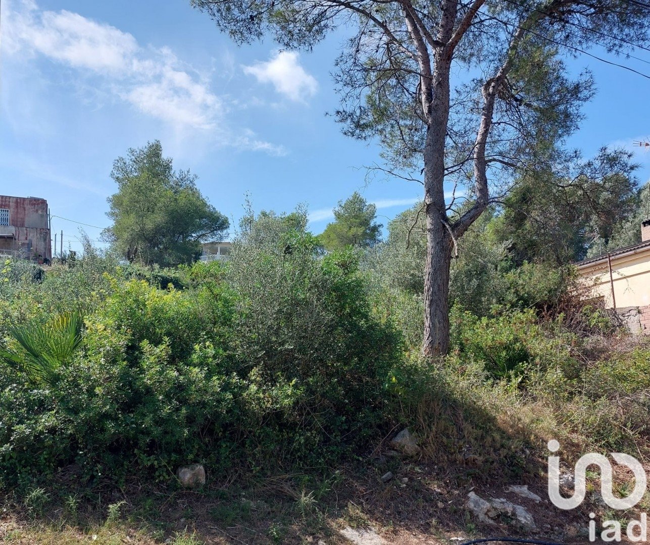 Tontti Canyelles, Barcelona, Espanja 802 m2 No. 186157