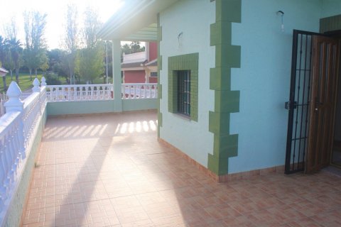 Villa in Torrevieja, Alicante, Spanien 3 Schlafzimmer, 315 m2 Nr. 115992