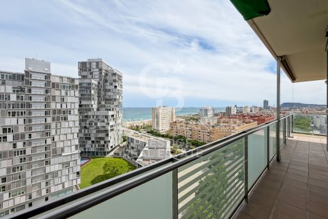 Dzīvoklis Barcelona, Spānijā 4 istabas, 171 m2 Nr. 178712