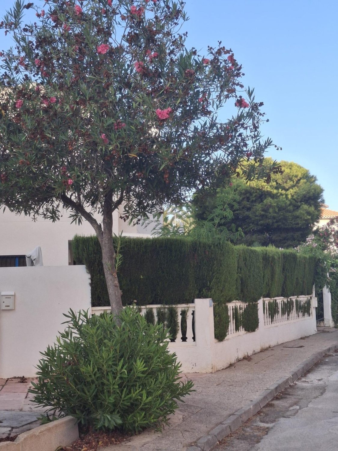 Penthauss La Zenia, Alicante, Spānijā 3 istabas, 86 m2 Nr. 182803