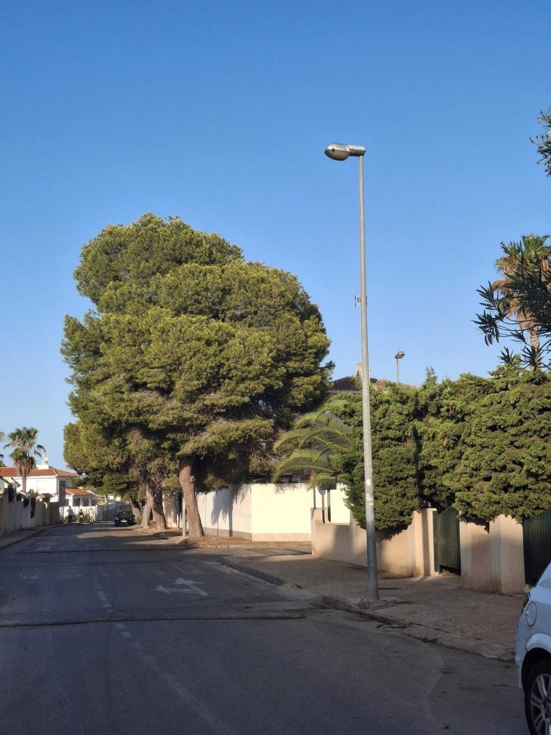 Penthauss La Zenia, Alicante, Spānijā 3 istabas, 86 m2 Nr. 182803