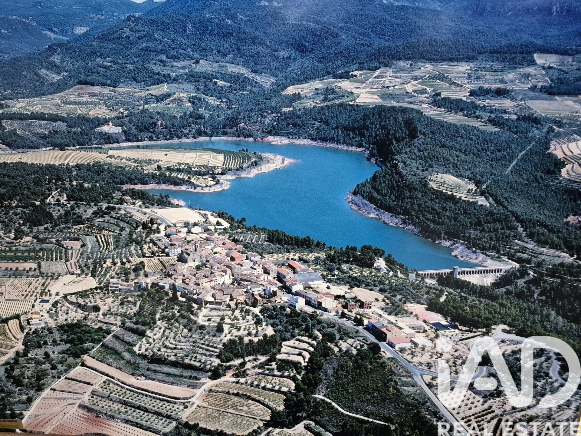 Land plot in Els Guiamets, Tarragona, Spain 88500 sq.m. No. 152453