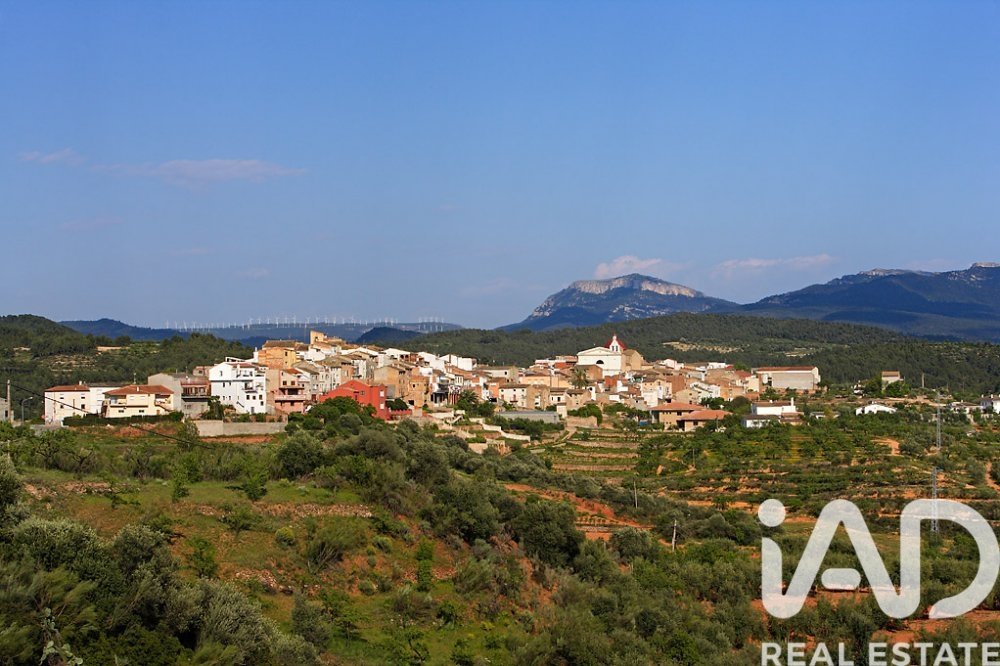 Land plot in Els Guiamets, Tarragona, Spain 88500 sq.m. No. 152453