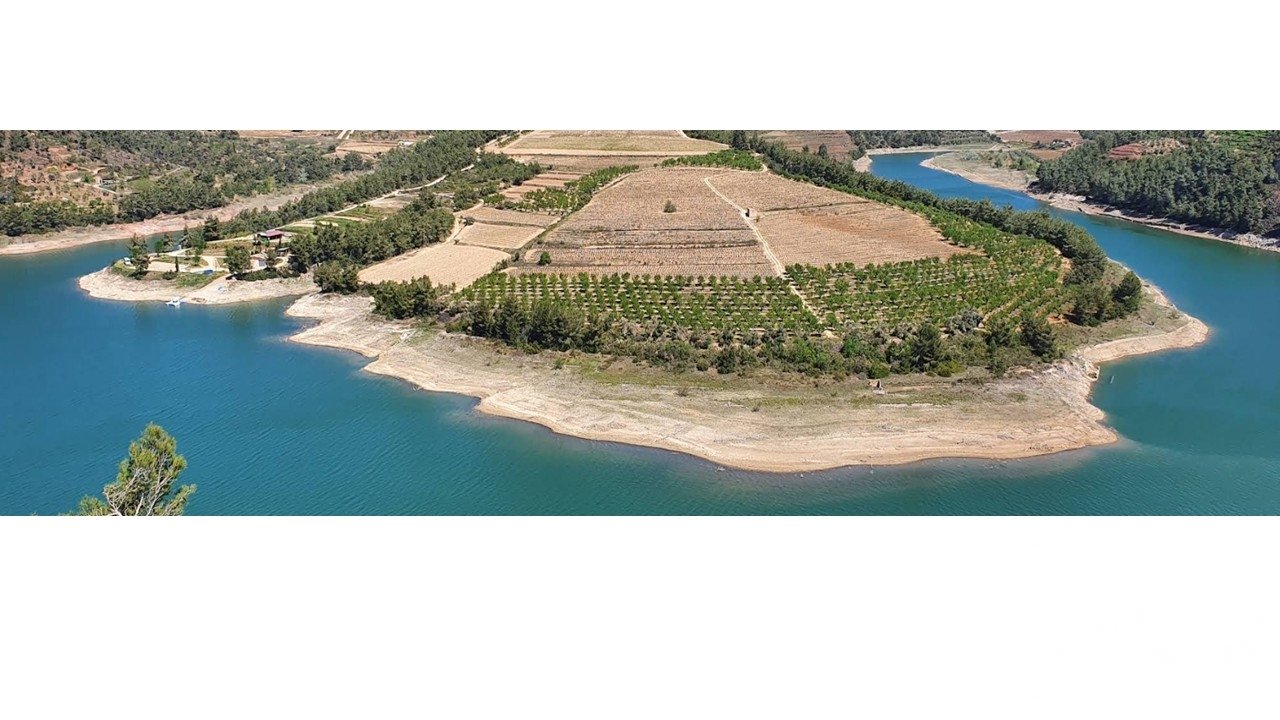 Land plot in Els Guiamets, Tarragona, Spain 88500 sq.m. No. 152453
