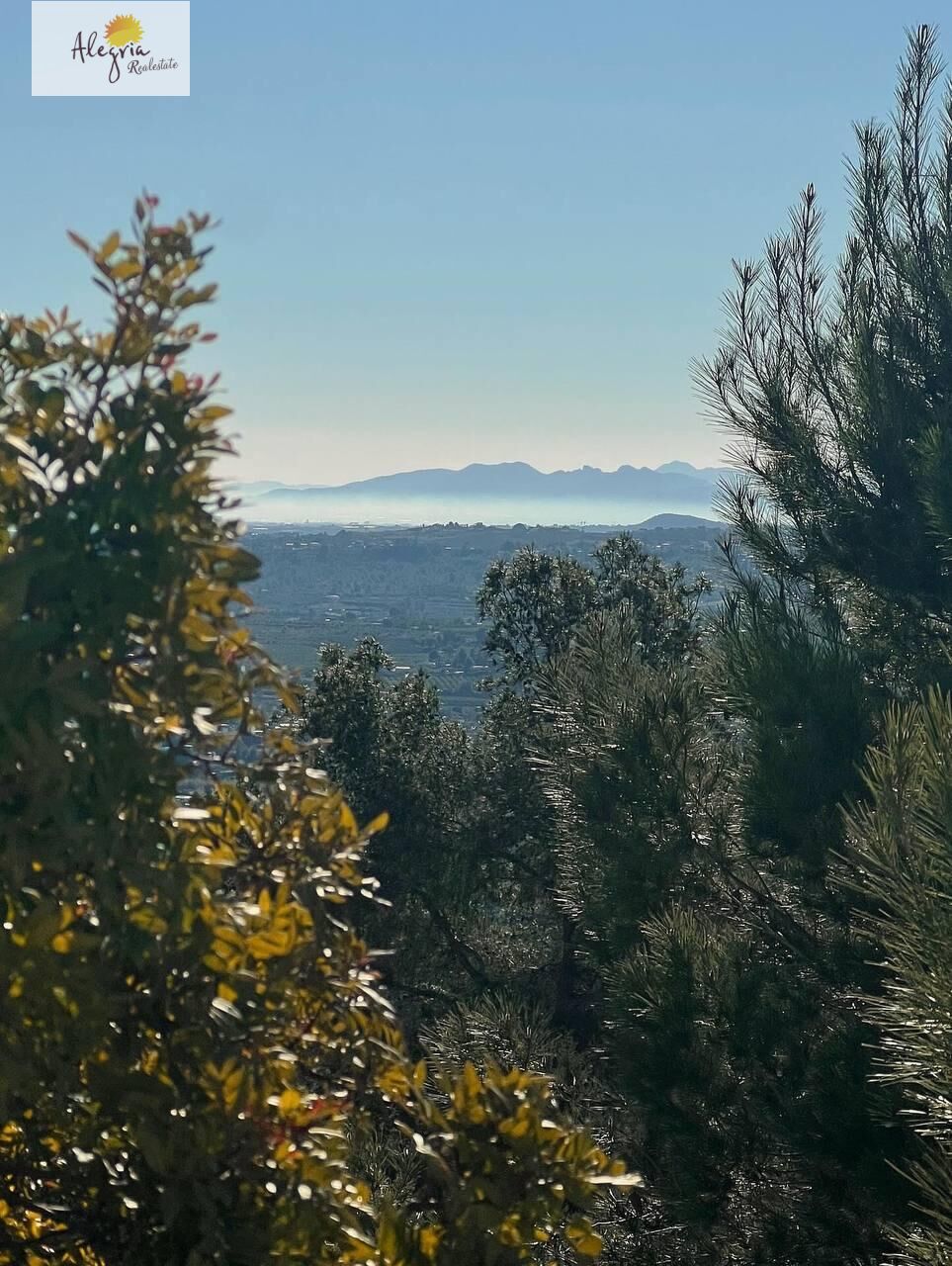 Land in Torrent, Valencia, Spanien Nr. 182923