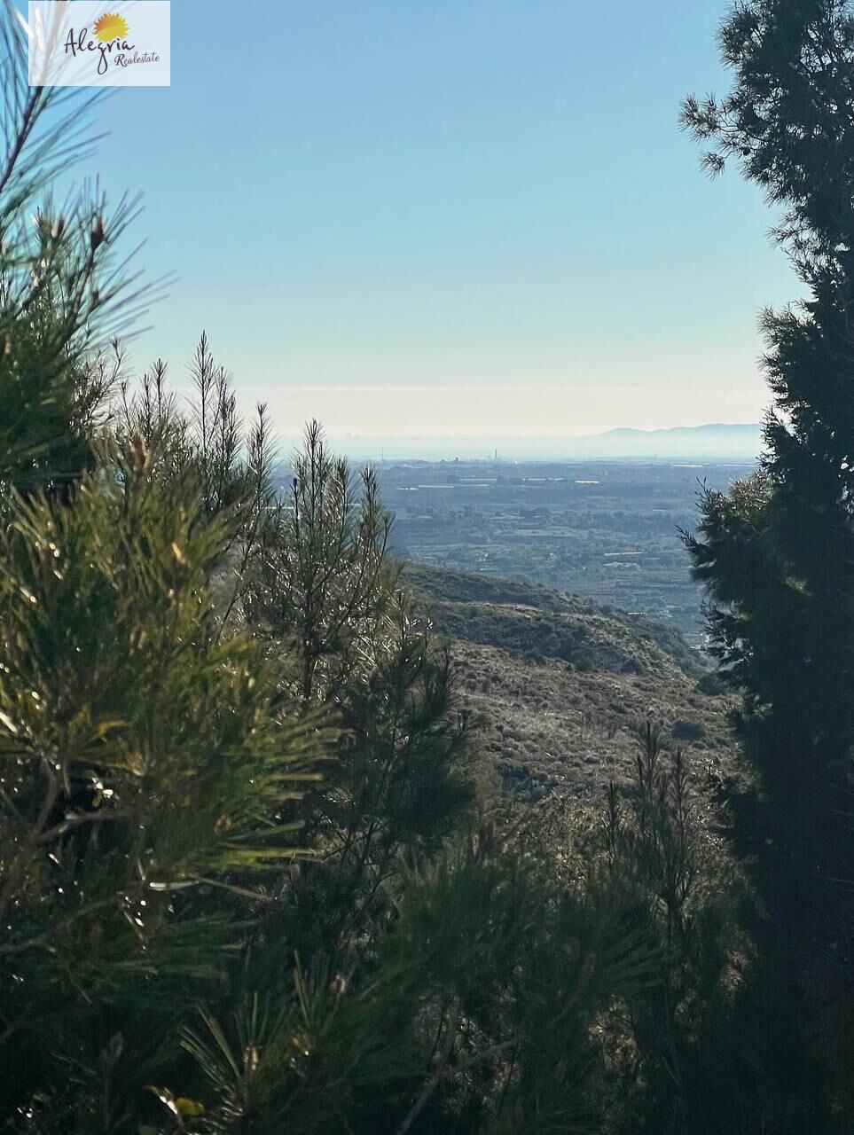 Land in Torrent, Valencia, Spanien Nr. 182923