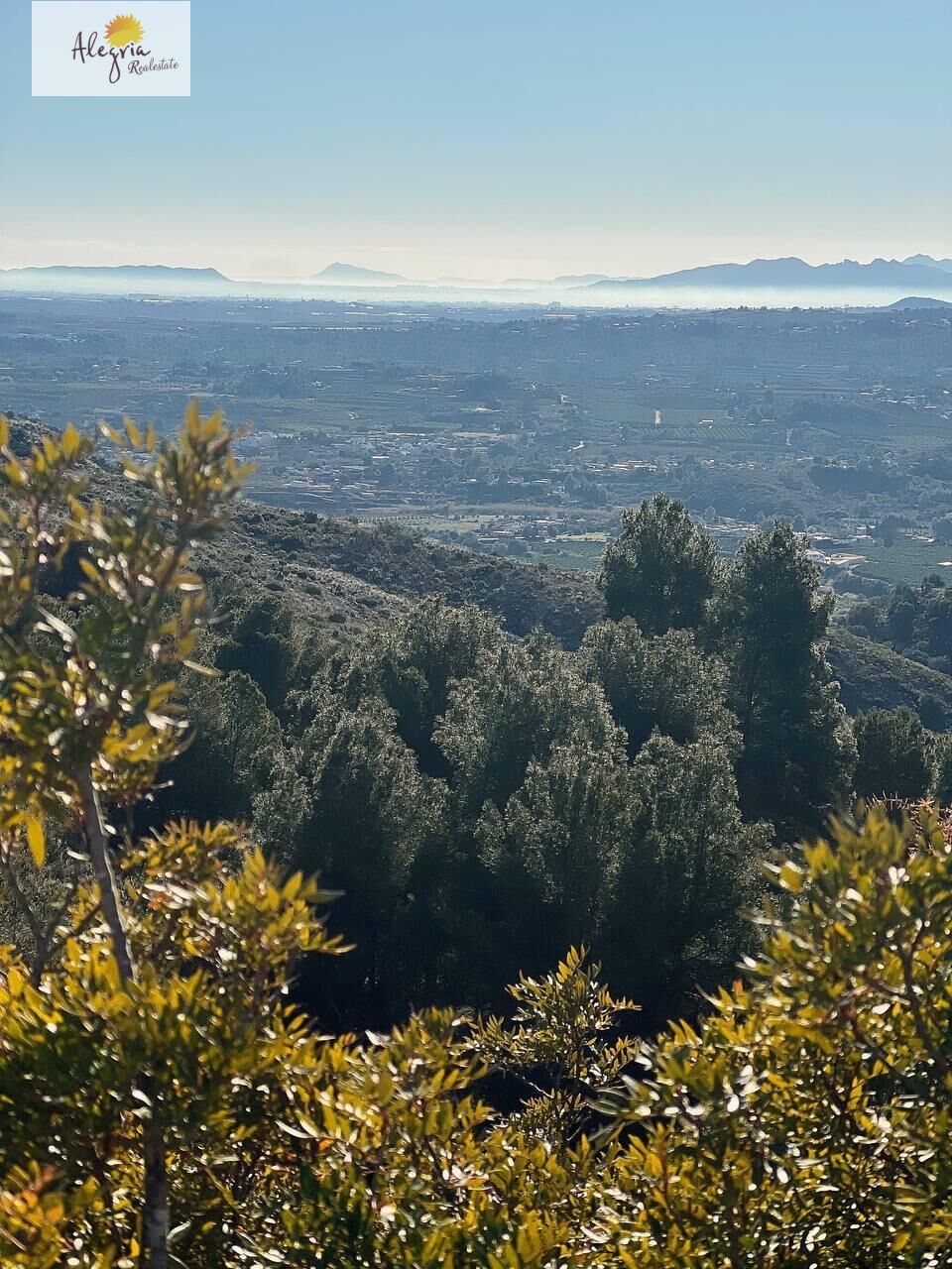 Land in Torrent, Valencia, Spanien Nr. 182923