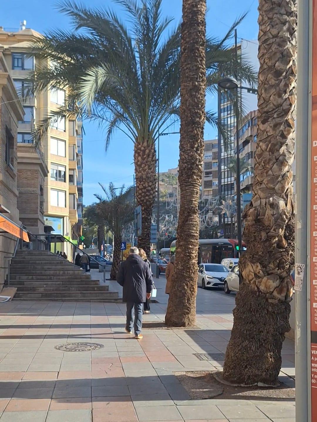 Liikekiinteistö Alicante, Espanja 19 m2 No. 182922