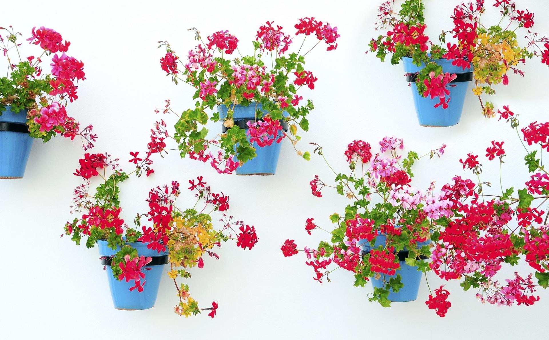 Appartamento a Mijas, Malaga, Spagna 2 camere da letto, 108 mq. N° 169486