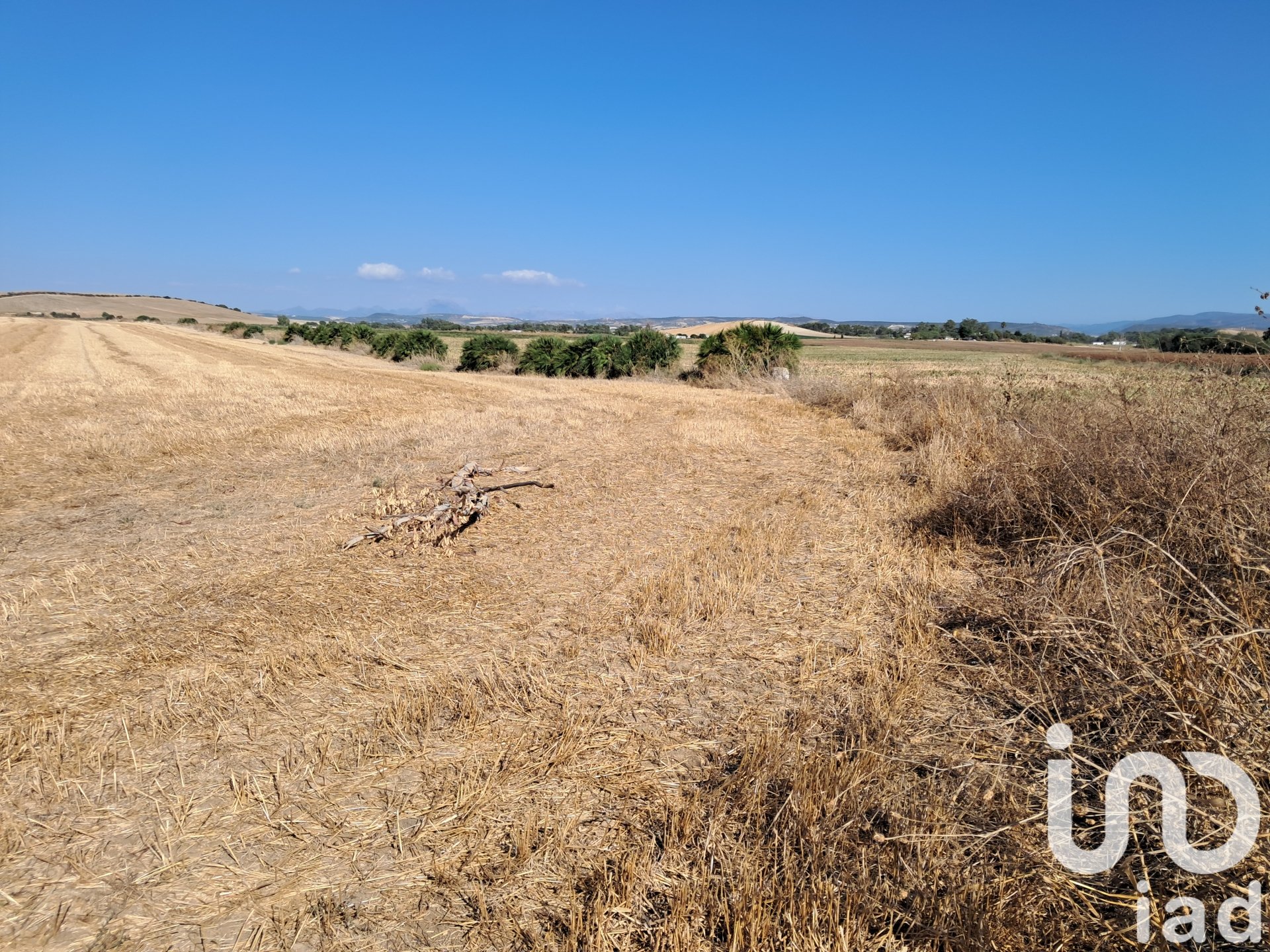 Zemes gabals Arcos de la Frontera, Cadiz, Spānijā 91500 m2 Nr. 185662