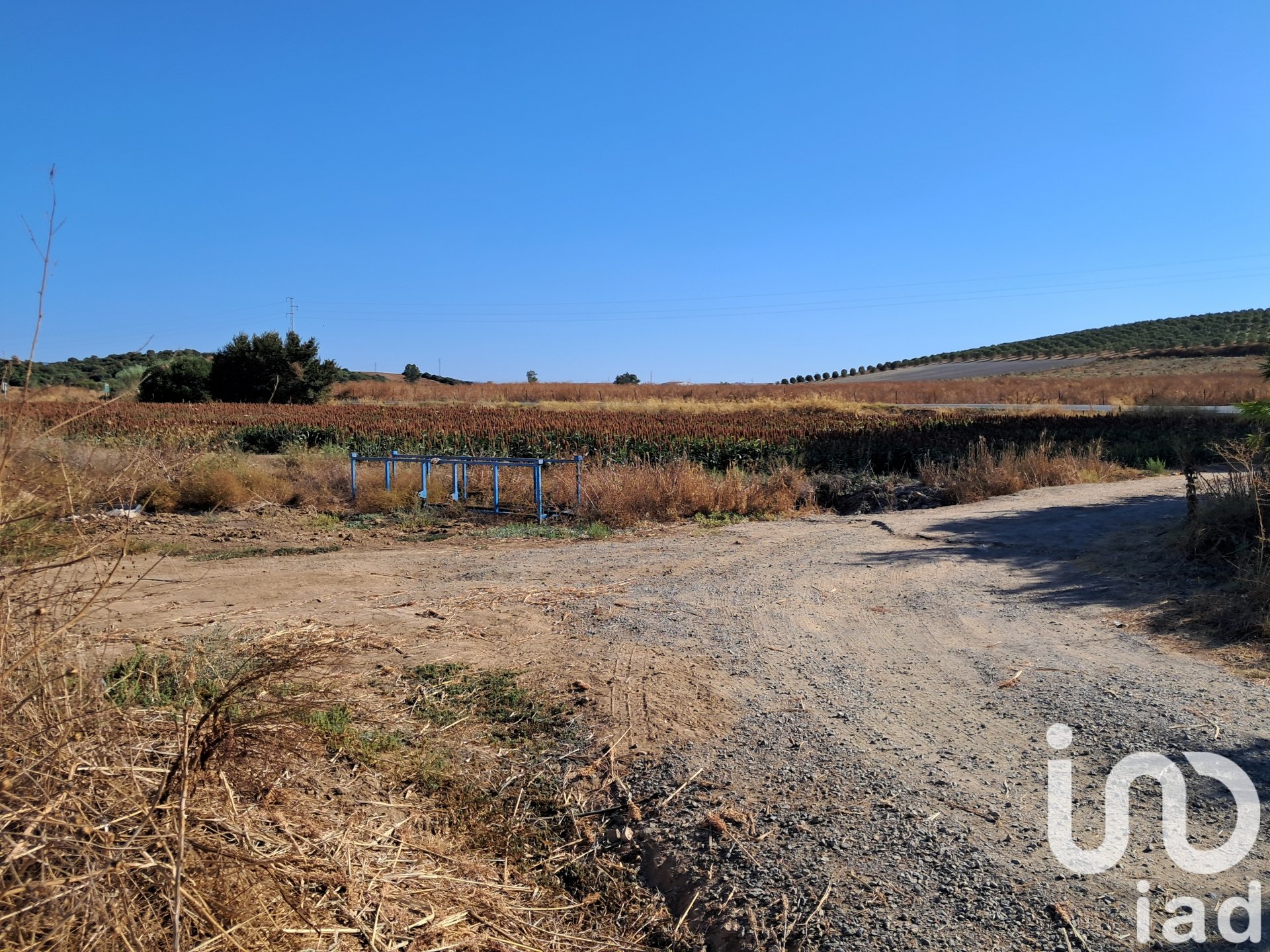 Zemes gabals Arcos de la Frontera, Cadiz, Spānijā 91500 m2 Nr. 185662